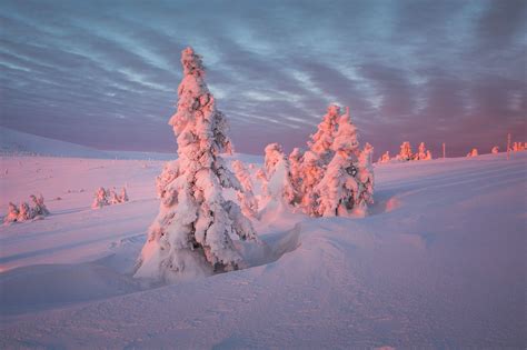 Russian Lapland Photo Tour Dream Photo Expeditions Photo Tours
