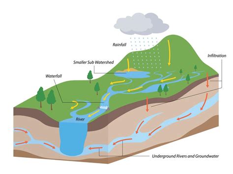 Cuenca Hidrográfica Como Sistema De Cuenca De Agua Con Arroyos De Ríos