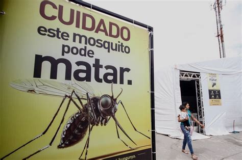Zika First Case Of Virus Reported In Cuba The Independent