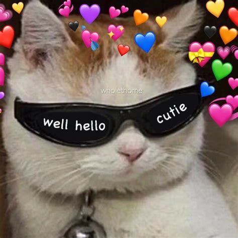 Pin By Laura On Memes Cute Love Memes Cute Cat Memes Cute Memes