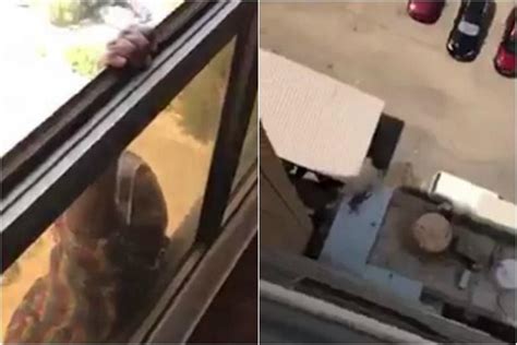 woman in kuwait films her maid falling from window instead of helping the straits times