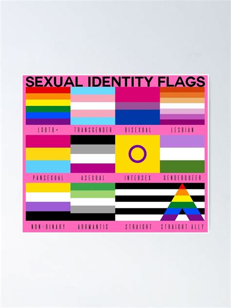 Sexual Identity Pride Flags Lgbtq Pride Month Pink Poster For Sale By Priscimissy Redbubble