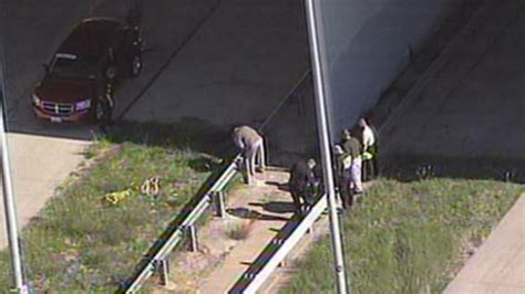 Man Found In Median After Fall From Bridge Nbc 5 Dallas Fort Worth