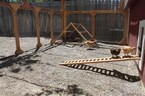 Chicken Playground Backyard Chickens