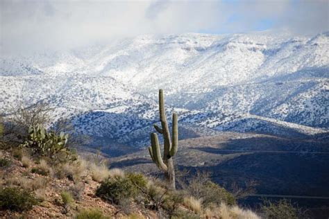 Snow In The Arizona Desert A Beautiful Fairy Dusting