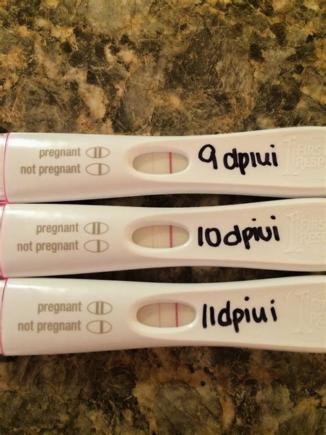 10 Days After Ovulation Negative Pregnancy Test