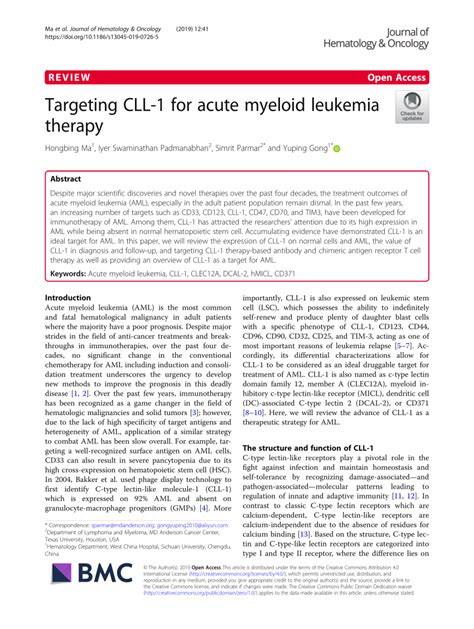 Pdf Targeting Cll For Acute Myeloid Leukemia Therapy