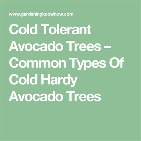 We did not find results for: Cold Tolerance Of Avocado: Learn About Frost Tolerant ...
