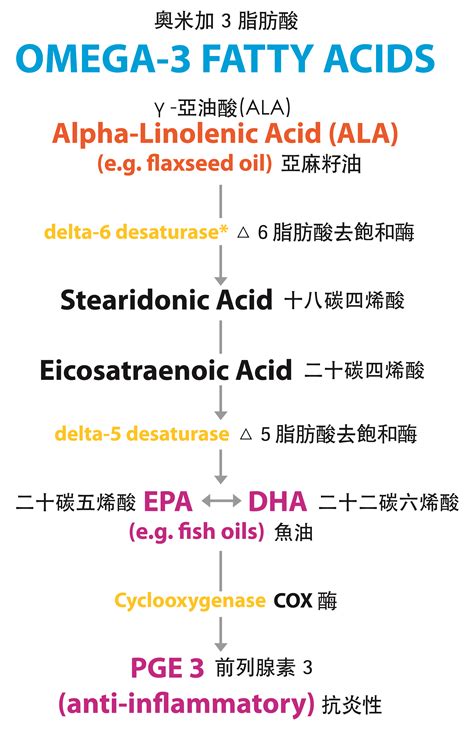 Essential Fatty Acids Nippon Kendai