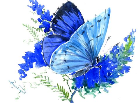 Blue Butterfly Artwork Butterfly Painting Blue Sky Blue Artwork Blue