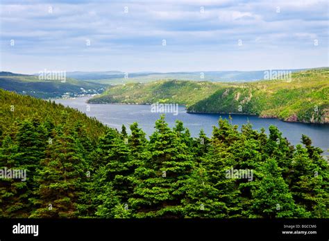 Trees Newfoundland Canada Hi Res Stock Photography And Images Alamy