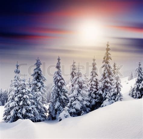 Majestic Sunset In The Winter Mountains Stock Image Colourbox