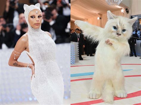 Heres Why So Many Celebrities Dressed Up Like A Cat For The Met Gala