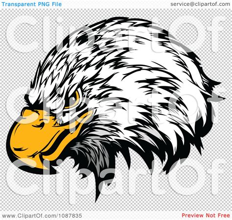 Clipart Bald Eagle Head Mascot With A Yellow Beak Royalty Free Vector