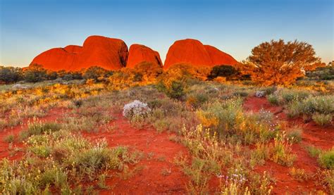 L'australie… un pays du bout du monde qui alimente l'imaginaire des sportifs, des aventuriers et des curieux de panoramas grandioses. Les 12 plus beaux sites naturels à voir en Australie | GO ...