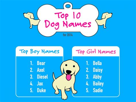 Top 10 Dog Names For 2014 Infographic Dog Names Dog Infographic Top