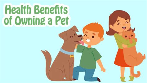 Health Benefits Of Owning A Pet Northshore
