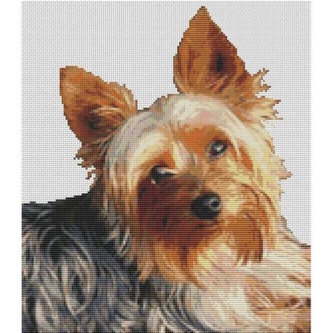 14/inch or 55/100mm design size: Yorkshire Terrier Cross Stitch Pattern VII | DogShoppe.net