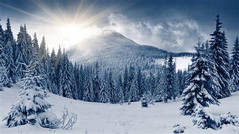 Обои зимний лес 5k 4k гора солнце снег елки Winter Forest 5k