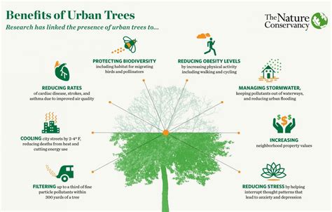 The Benefits Of Urban Trees Cnu