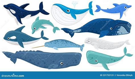 Cartoon Humpback Whale Underwater World Marine Life Vector