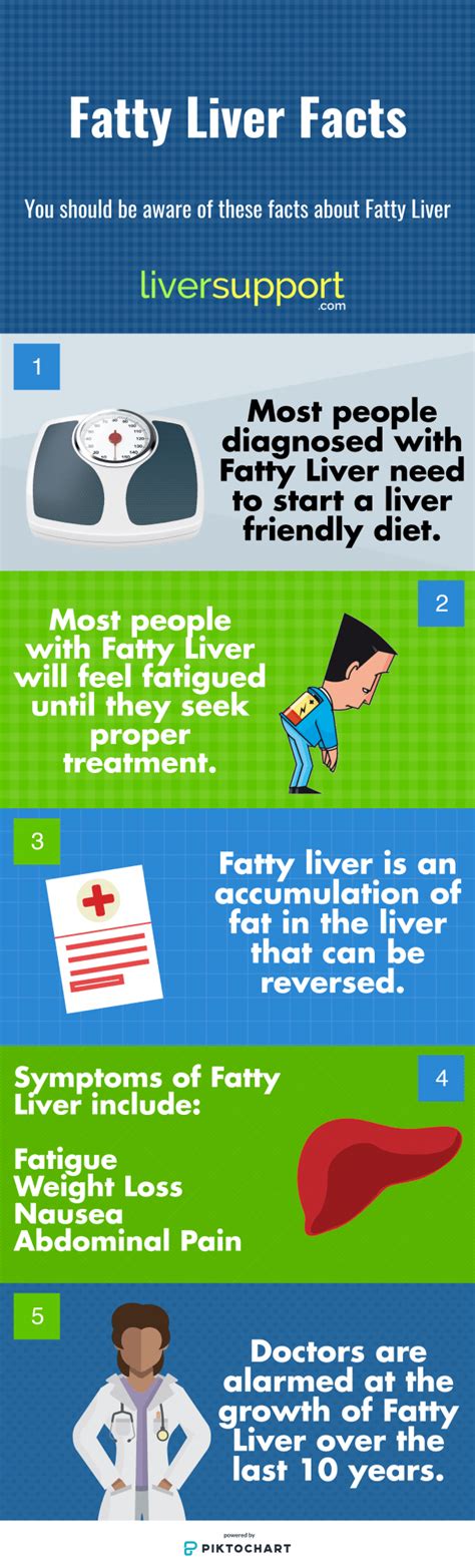 Fatty Liver The Definitive Guide 2018