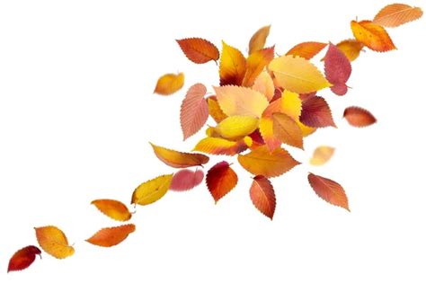 Falling And Spinning Autumn Leaves Stock Photo By ©dibrova 11972686