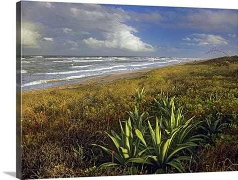 Apollo Beach At Canaveral National Seashore Florida Photo Canvas Print