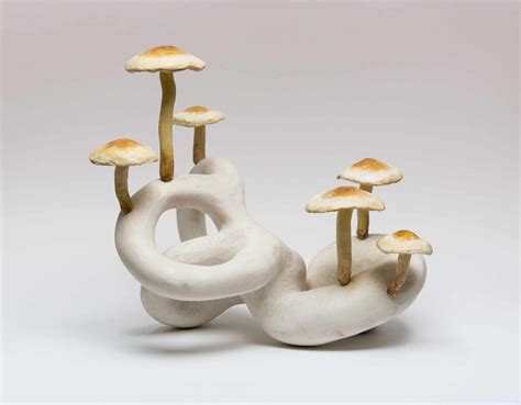 40 leading artists designers and musicians look at fungi s colourful cultural legacy