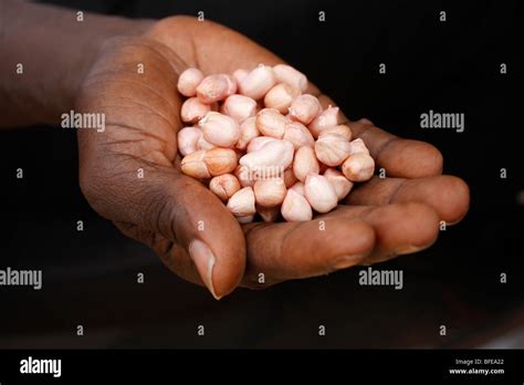 Sénégal Bignola Peanuts Stock Photo Alamy