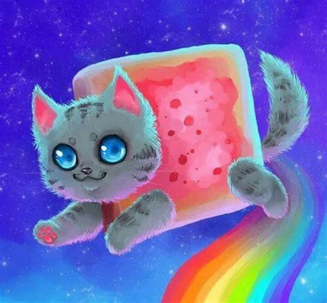 Nyan Cat Geeky Love Pinterest Cats And Nyan Cat