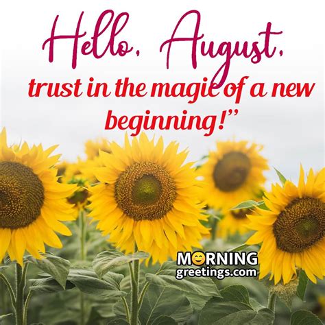 40 Best August Morning Quotes And Wishes Morning Greetings Morning