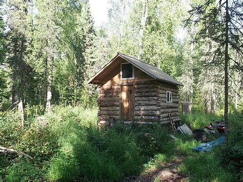Simple Skinny D Log Cabin