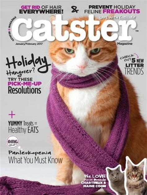 Catster Magazine Topmags