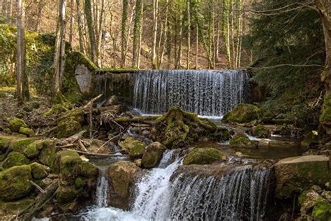 Photo Nature Waterfalls Forests Moss Stones