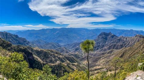 ¿qué Hacer En La Sierra Tarahumara En Chihuahua Top Adventure