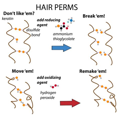 The Science Behind The Hair The Pretty Phd Blog