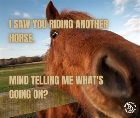 11 Most Loved Horse Memes By Double D Trailers