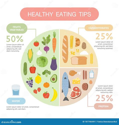 Healthy Eating Tips Infographic Chart Of Food Balance With Proper Nutrition Proportions Stock