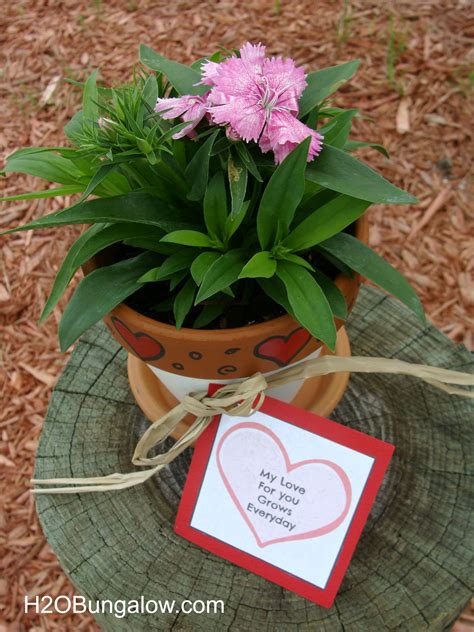 Valentines Plant T With Free Printable H20bungalow