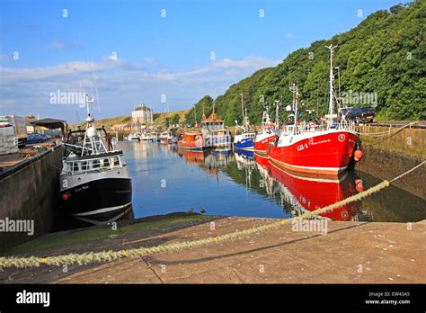 Fishing Boats In The Harbour Eyemouth Harbour Berwickshire Scotland