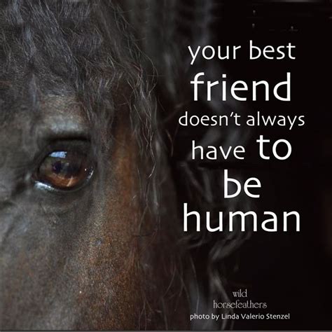 Your Best Friend Doesnt Always Have To Be Human Horse Quotes