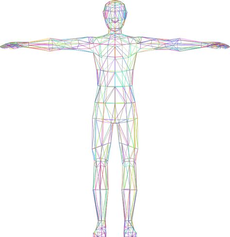 Human clipart wireframe, Human wireframe Transparent FREE ...