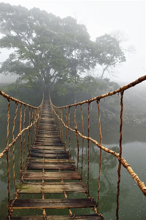 The Travel Guru — Jungle Rope Bridge Near Sapa Vietnam By Skip