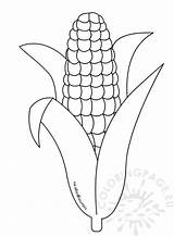 Corn Coloring Printable Pages Candy Stalk Drawing Cob Thanksgiving Trinity Coloringpage Getdrawings Paintingvalley Popular Eu sketch template