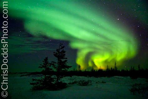 Aurora Borealis Auroras Aurorae Northern Lights Churchill Manitoba