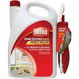 Home Depot Termite Control Products Pictures