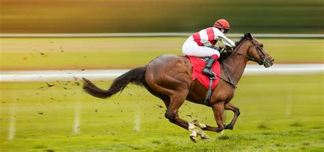 Top 5 Horse Racing Jockeys
