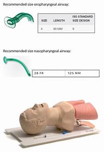 What Are The Recommended Sizes Of Oropharyngeal Airway And