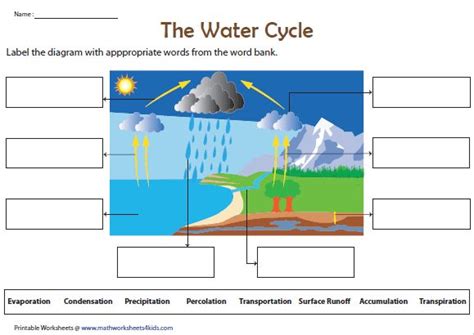 Describe The Water Cycle By Using A Labelled Diagram